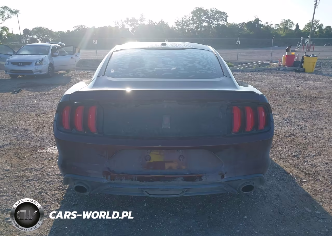 2018 Ford Mustang Ecoboost VIN:1FA6P8TH6J5185526 - 16