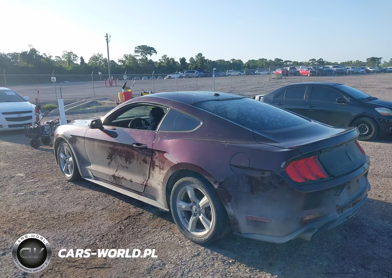 2018 Ford Mustang Ecoboost VIN:1FA6P8TH6J5185526 - 3