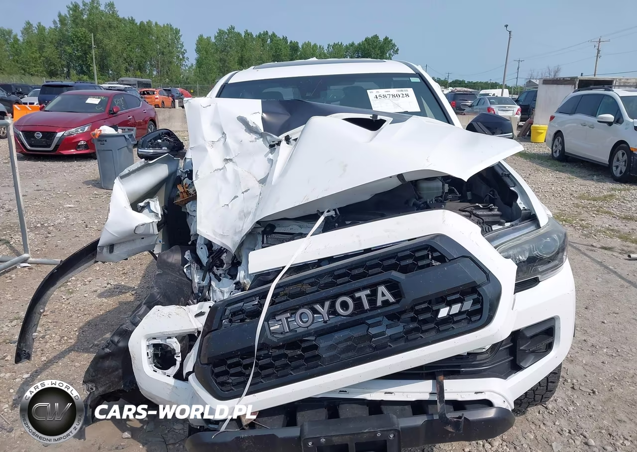 2019 Toyota Tacoma Trd Pro VIN:5TFCZ5AN1KX177192 - 12