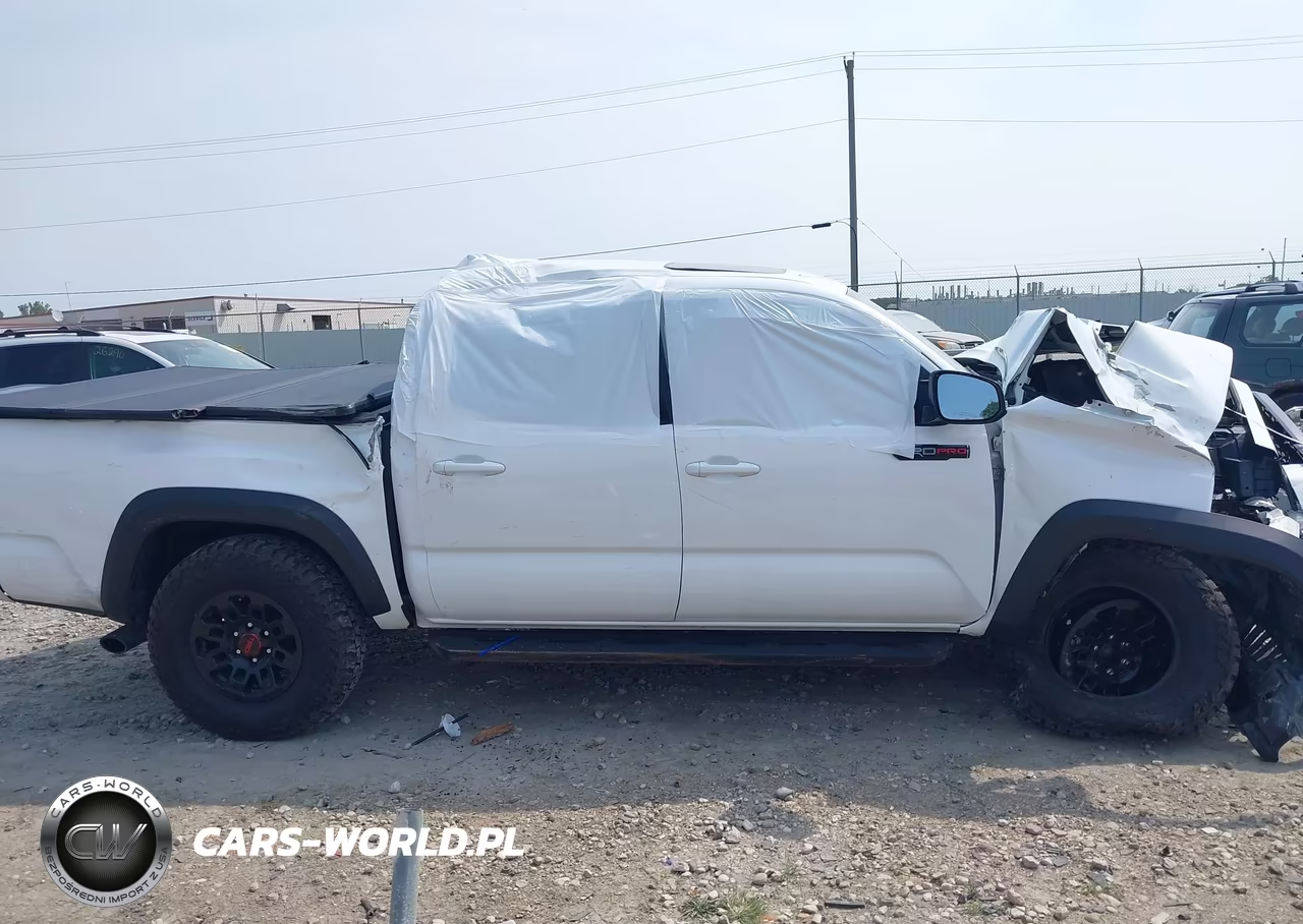 2019 Toyota Tacoma Trd Pro VIN:5TFCZ5AN1KX177192 - 13