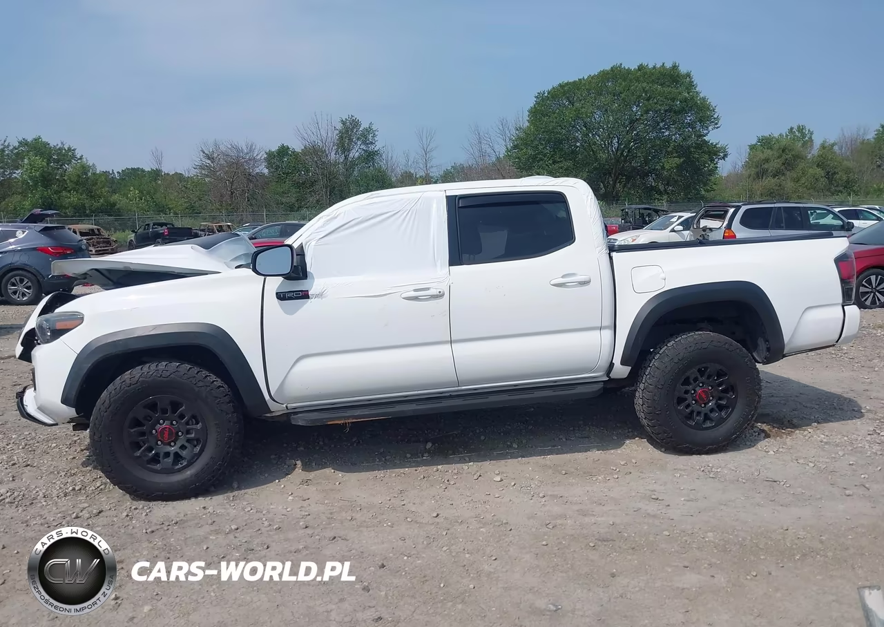 2019 Toyota Tacoma Trd Pro VIN:5TFCZ5AN1KX177192 - 14