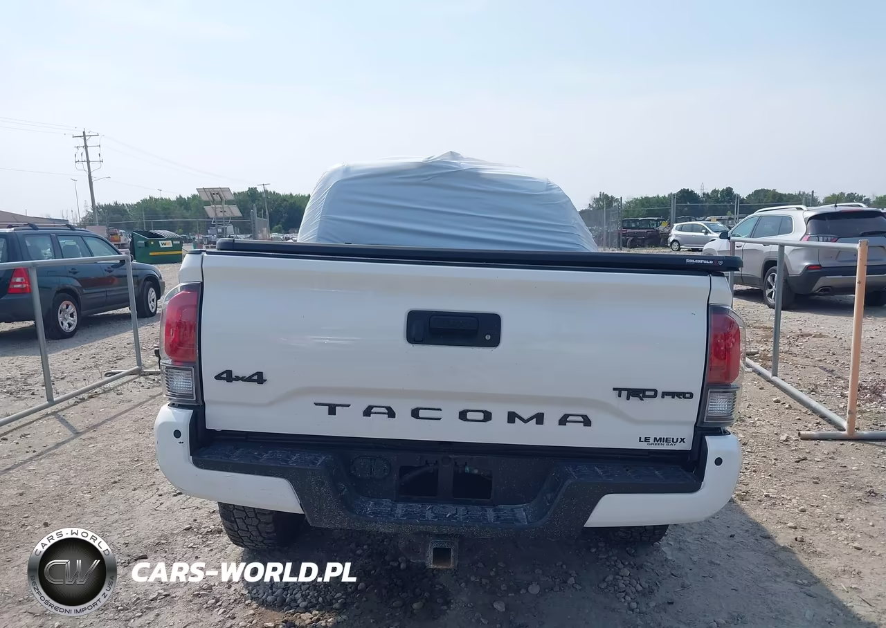 2019 Toyota Tacoma Trd Pro VIN:5TFCZ5AN1KX177192 - 16