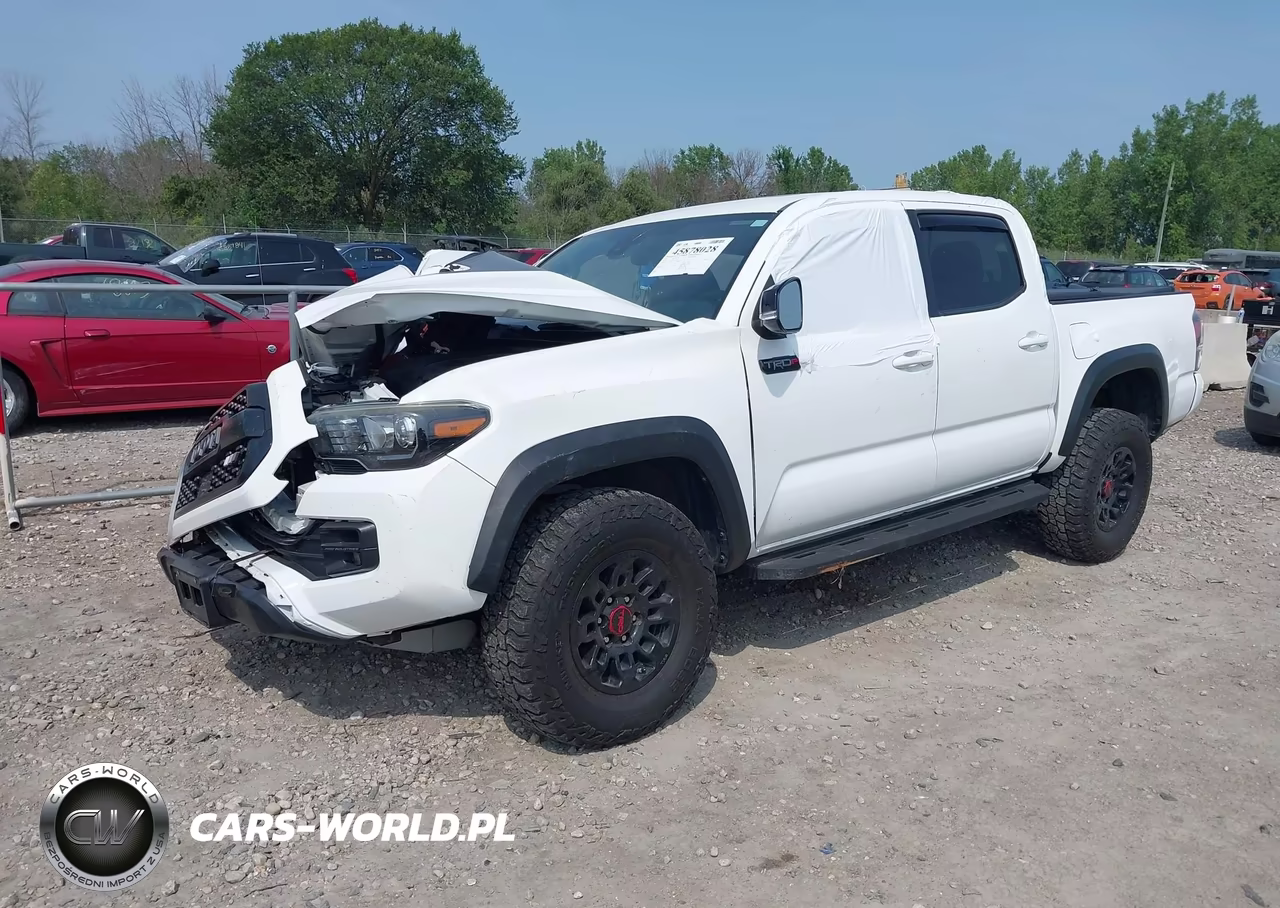 2019 Toyota Tacoma Trd Pro VIN:5TFCZ5AN1KX177192 - 2