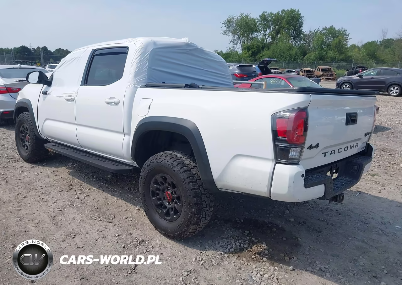 2019 Toyota Tacoma Trd Pro VIN:5TFCZ5AN1KX177192 - 3