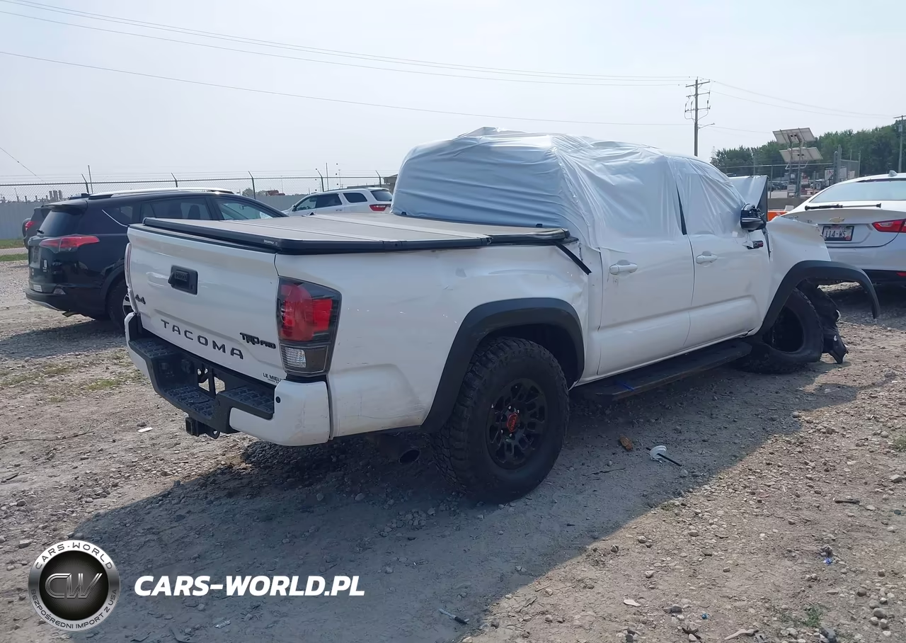 2019 Toyota Tacoma Trd Pro VIN:5TFCZ5AN1KX177192 - 4