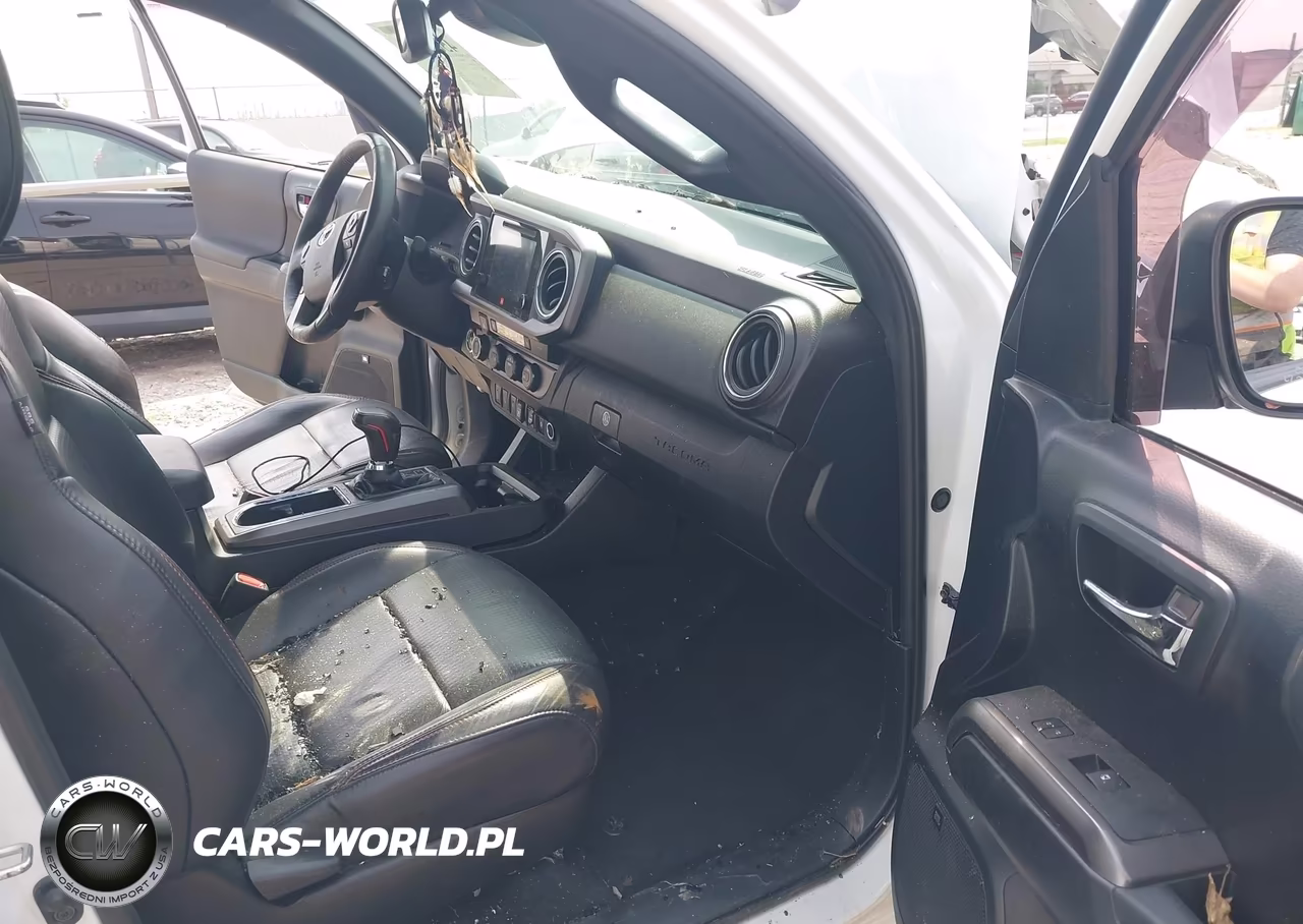 2019 Toyota Tacoma Trd Pro VIN:5TFCZ5AN1KX177192 - 5