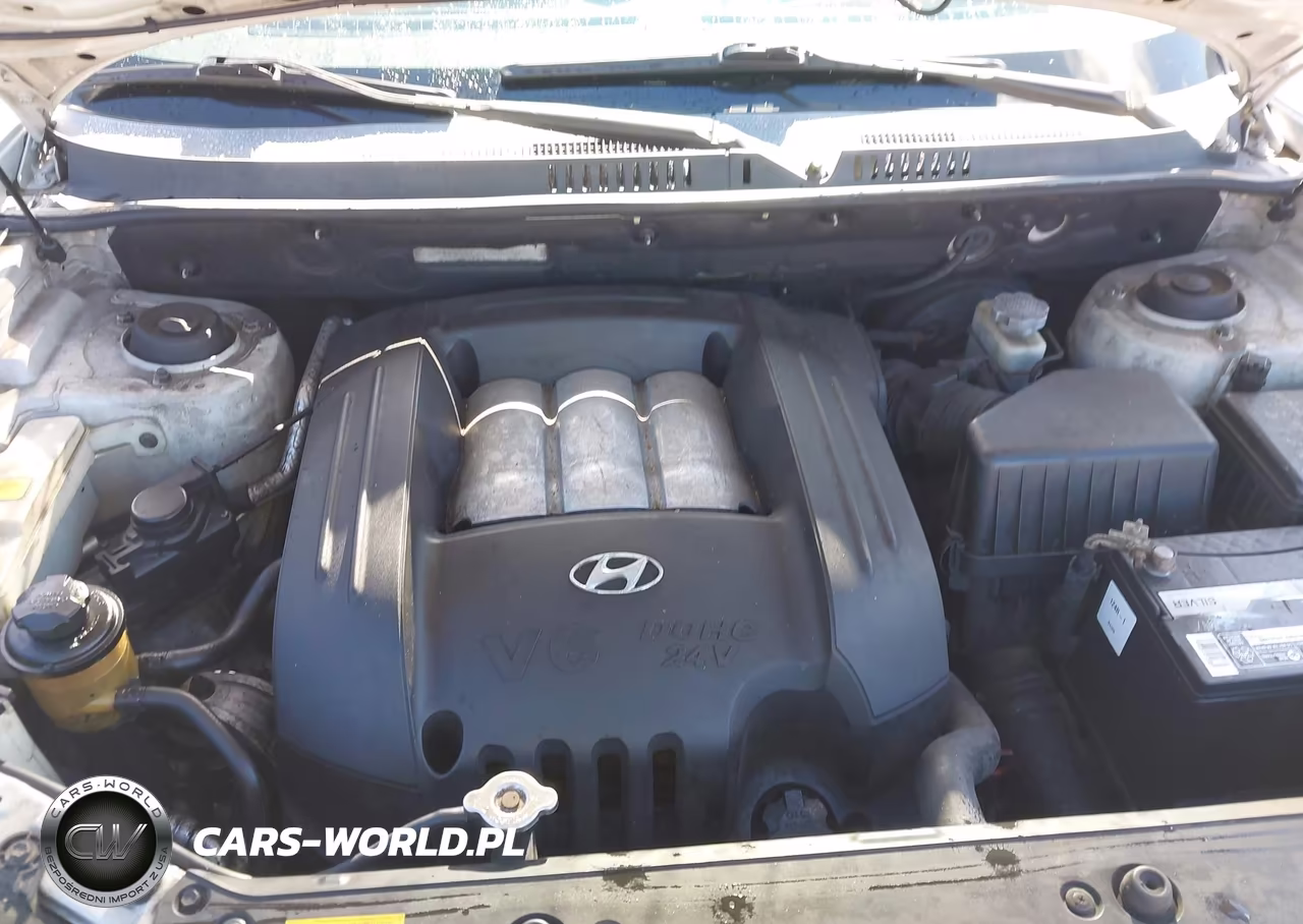2005 Hyundai Santa Fe Gls VIN:KM8SC13D75U895857 - 10