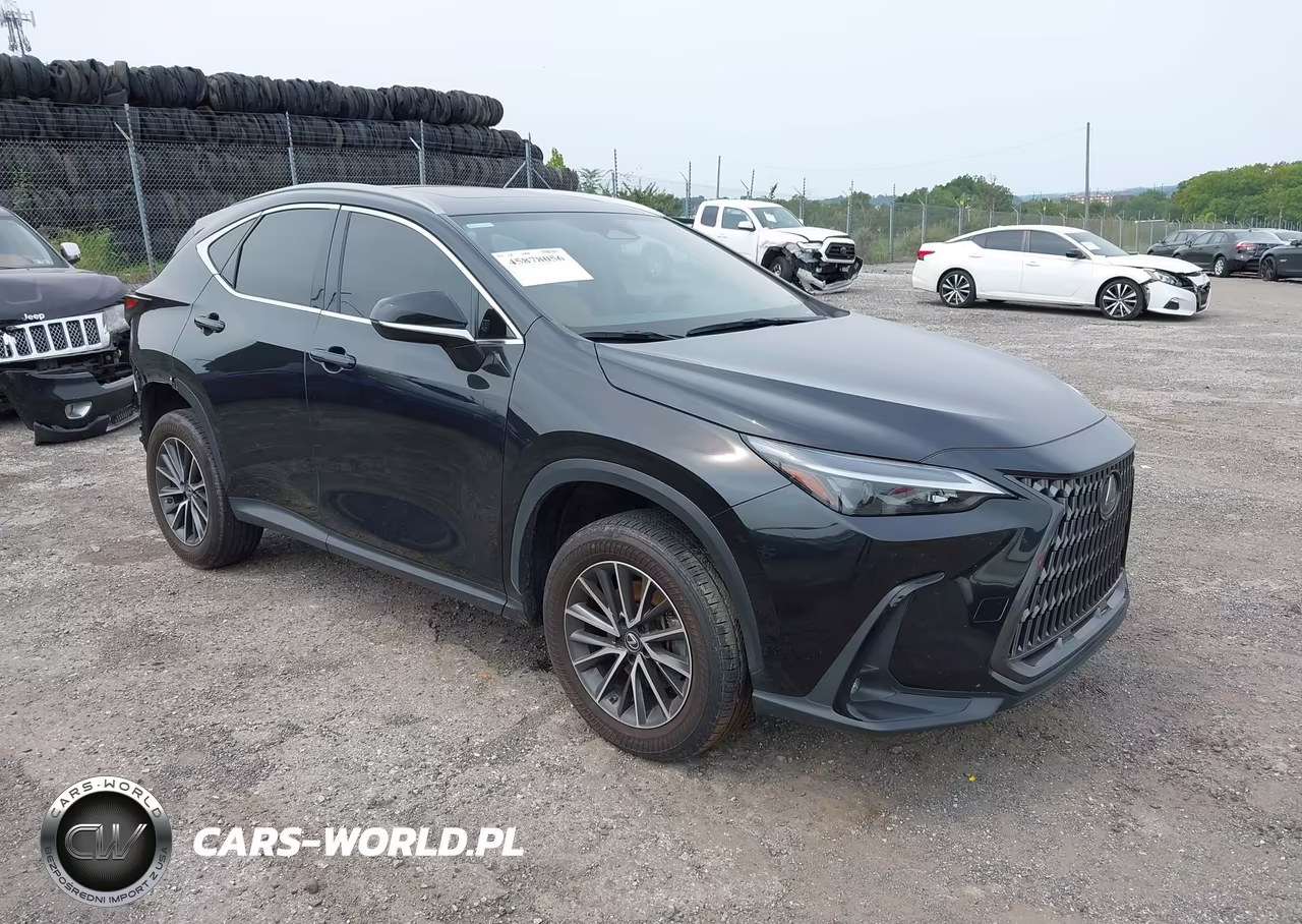 2023 Lexus Nx 250 Premium VIN:JTJGDCAZ3P5011585 - 1
