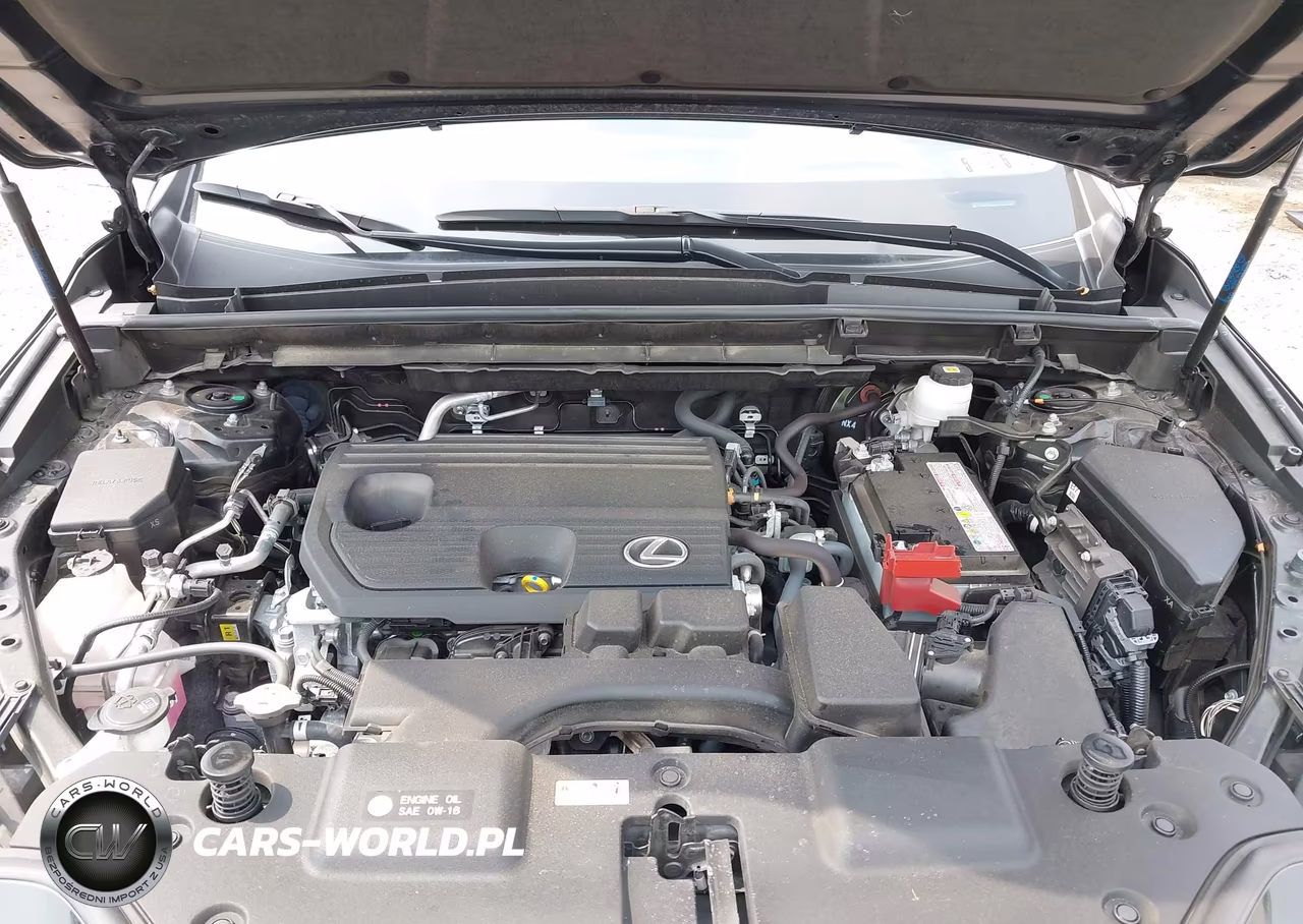 2023 Lexus Nx 250 Premium VIN:JTJGDCAZ3P5011585 - 10