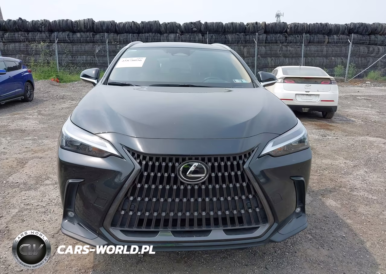 2023 Lexus Nx 250 Premium VIN:JTJGDCAZ3P5011585 - 13