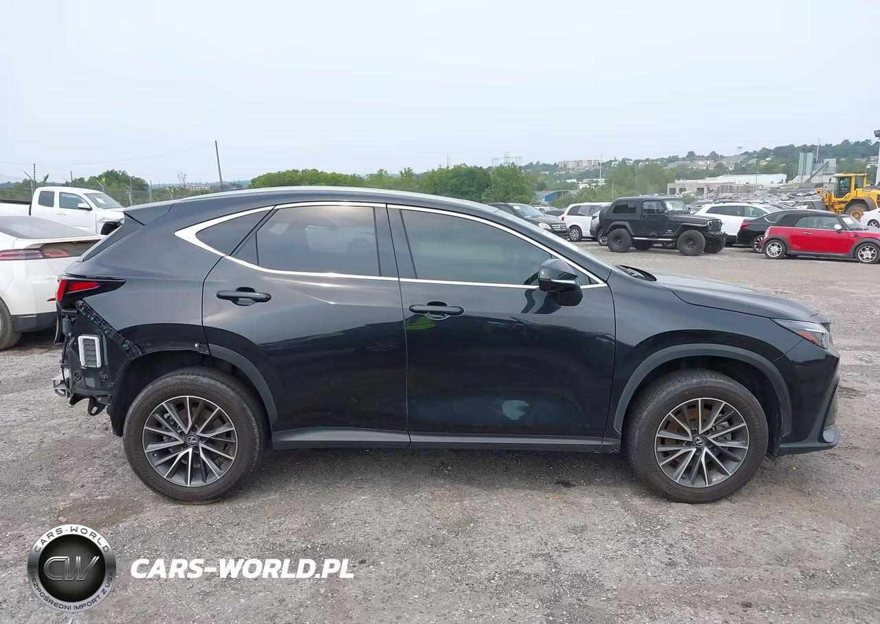 2023 Lexus Nx 250 Premium VIN:JTJGDCAZ3P5011585 - 14