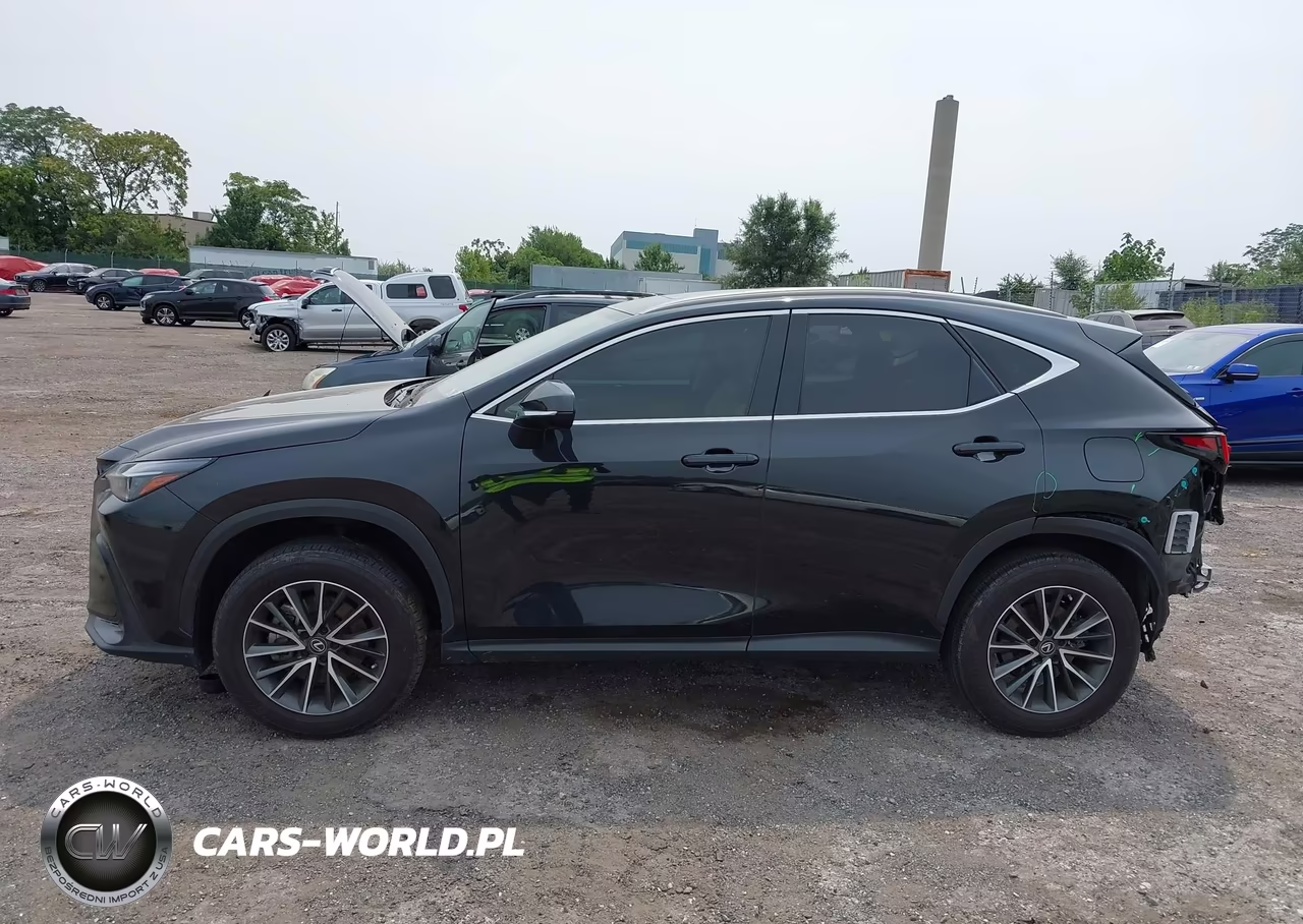 2023 Lexus Nx 250 Premium VIN:JTJGDCAZ3P5011585 - 15