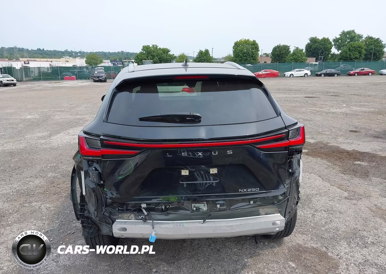 2023 Lexus Nx 250 Premium VIN:JTJGDCAZ3P5011585 - 17