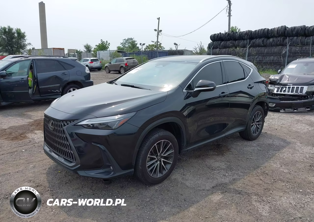 2023 Lexus Nx 250 Premium VIN:JTJGDCAZ3P5011585 - 2