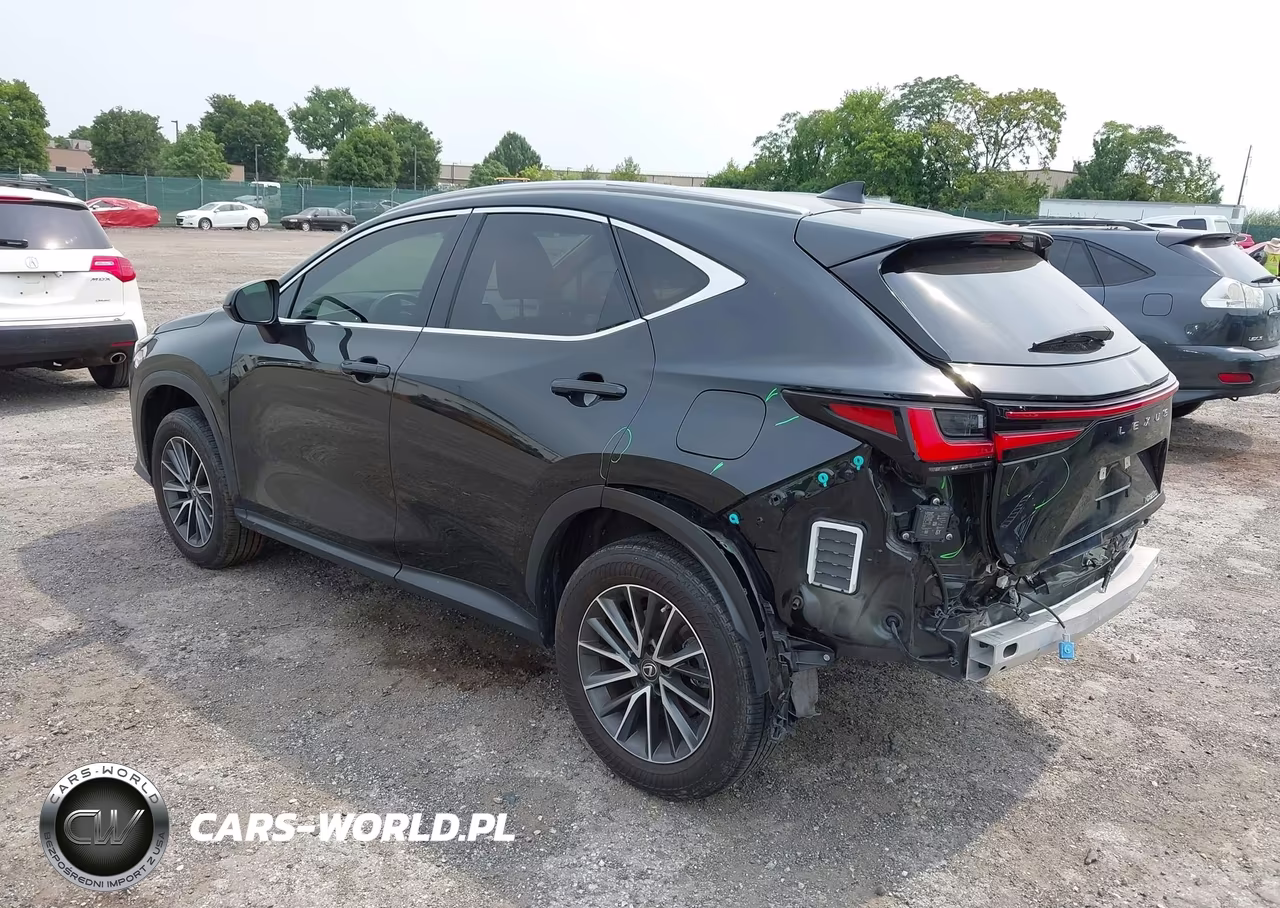 2023 Lexus Nx 250 Premium VIN:JTJGDCAZ3P5011585 - 3