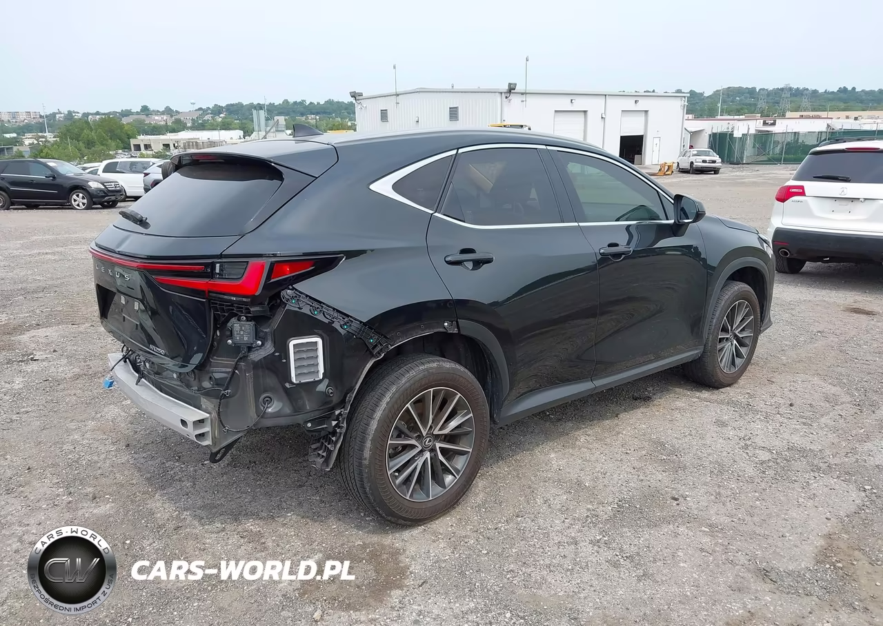 2023 Lexus Nx 250 Premium VIN:JTJGDCAZ3P5011585 - 4