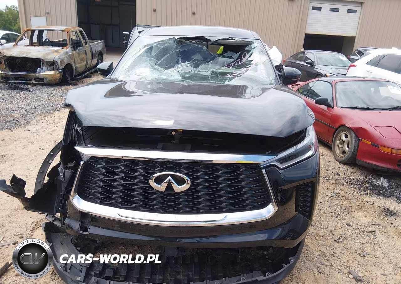 2025 Infiniti Qx60 Pure Awd VIN:5N1AL1ES4SC335920 - 12