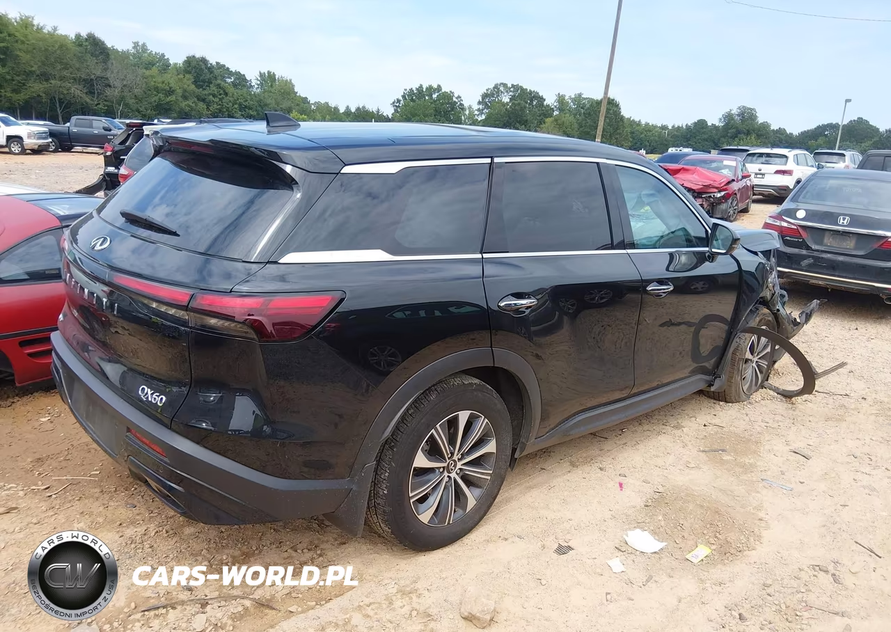 2025 Infiniti Qx60 Pure Awd VIN:5N1AL1ES4SC335920 - 4