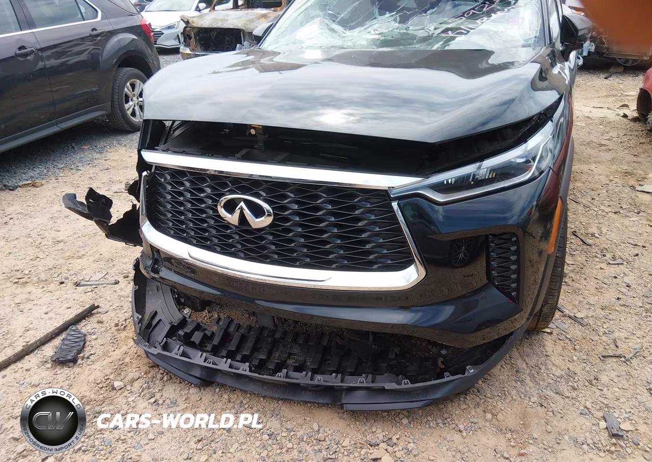 2025 Infiniti Qx60 Pure Awd VIN:5N1AL1ES4SC335920 - 6