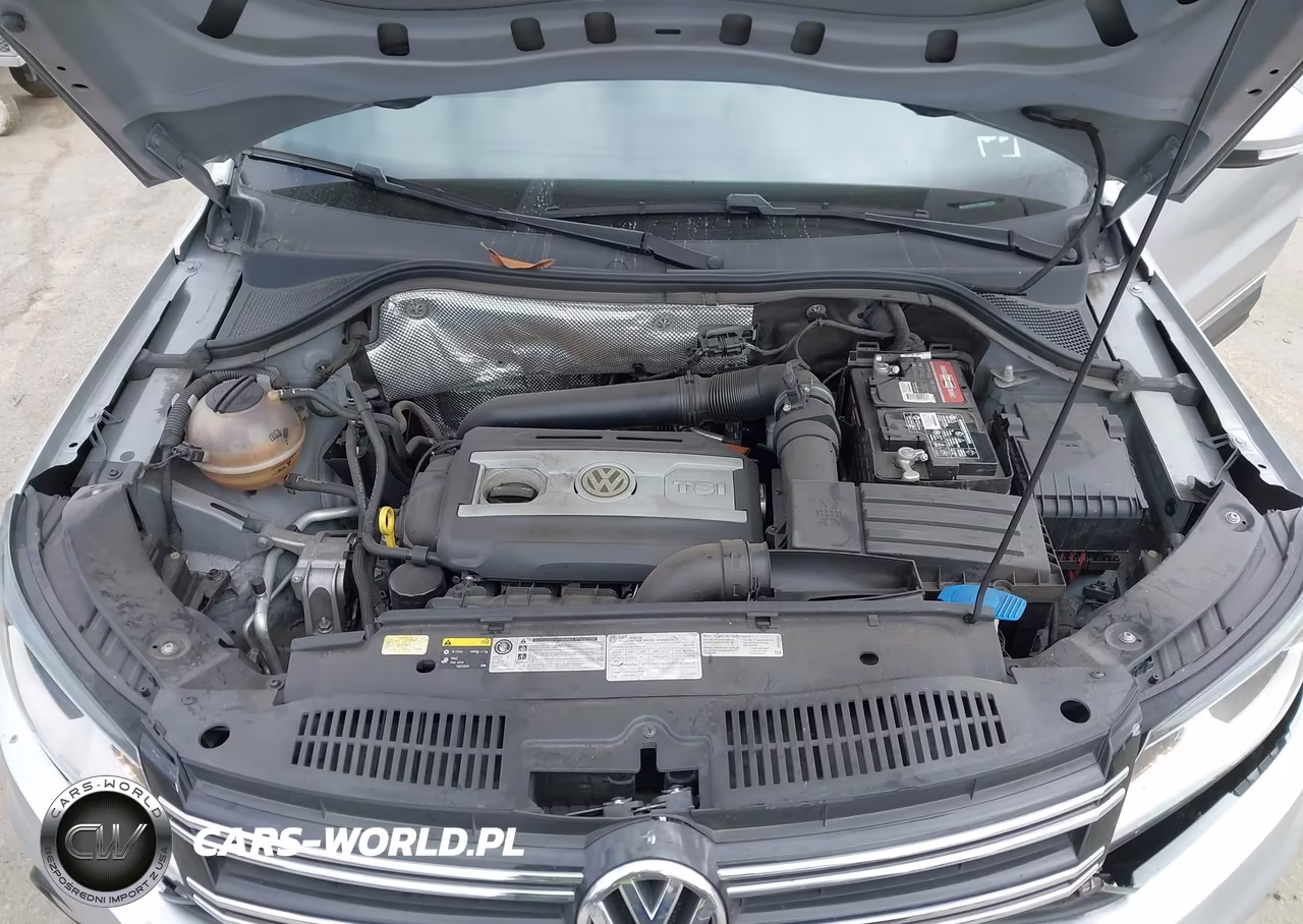 2014 Volkswagen Tiguan Sel VIN:WVGAV3AX7EW591723 - 10