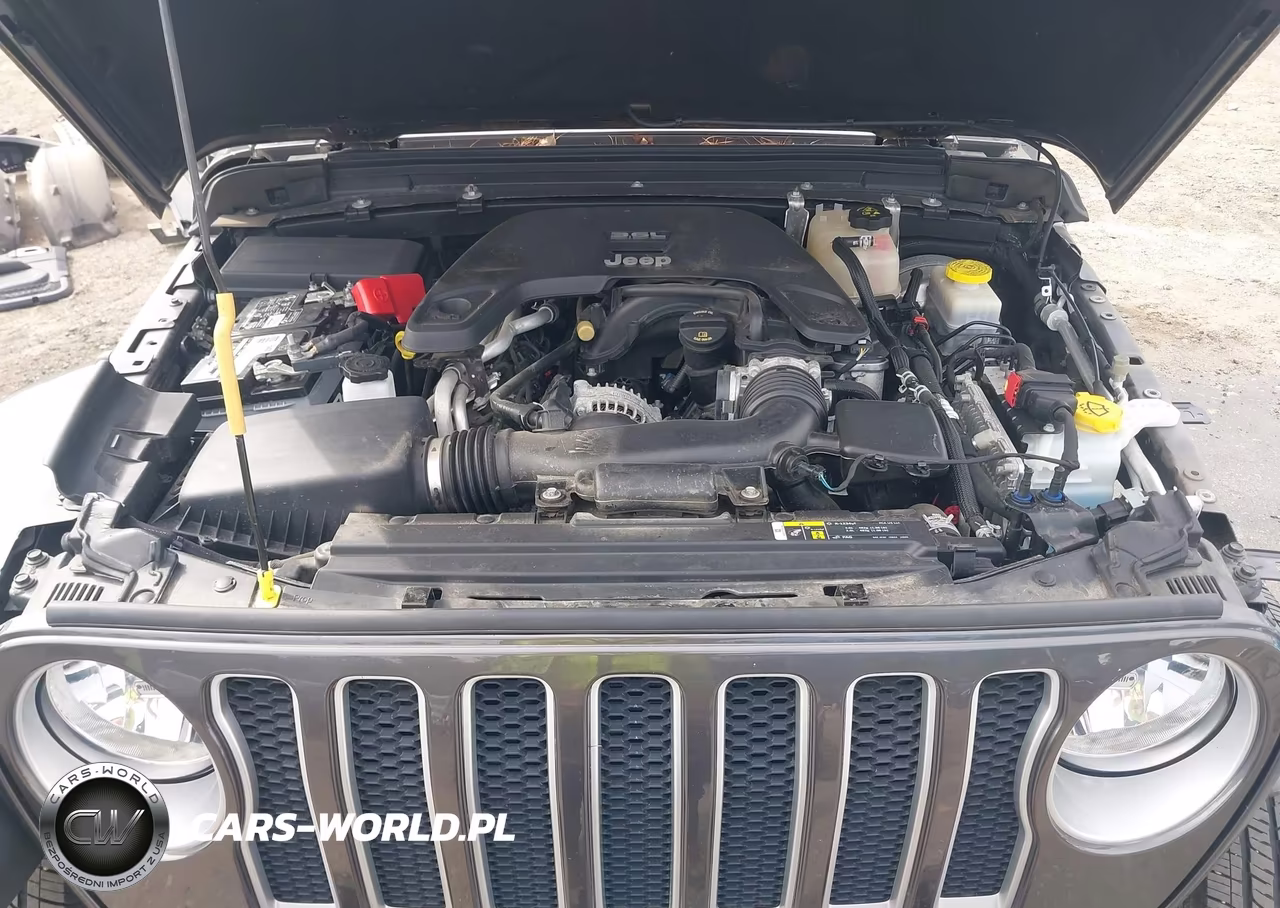 2019 Jeep Wrangler Unlimited Sahara 4X4 VIN:1C4HJXEG4KW576012 - 10