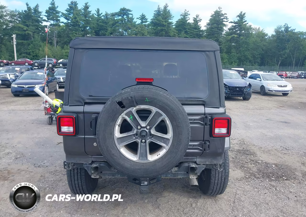 2019 Jeep Wrangler Unlimited Sahara 4X4 VIN:1C4HJXEG4KW576012 - 17