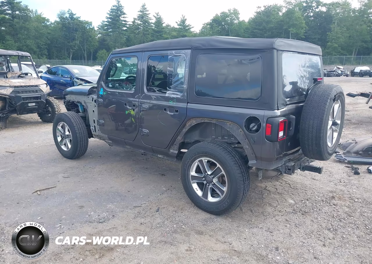 2019 Jeep Wrangler Unlimited Sahara 4X4 VIN:1C4HJXEG4KW576012 - 3