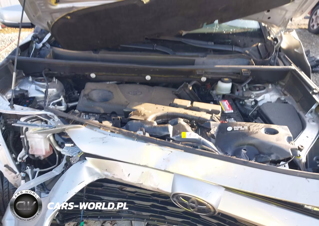 2020 Toyota Rav4 Xle VIN:JTMW1RFV3LJ019719 - 10