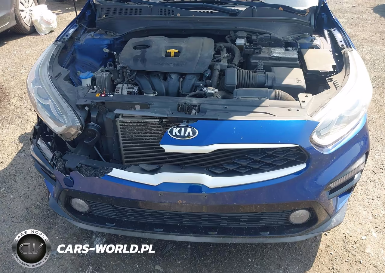 2020 Kia Forte Lxs VIN:3KPF24AD7LE163429 - 17