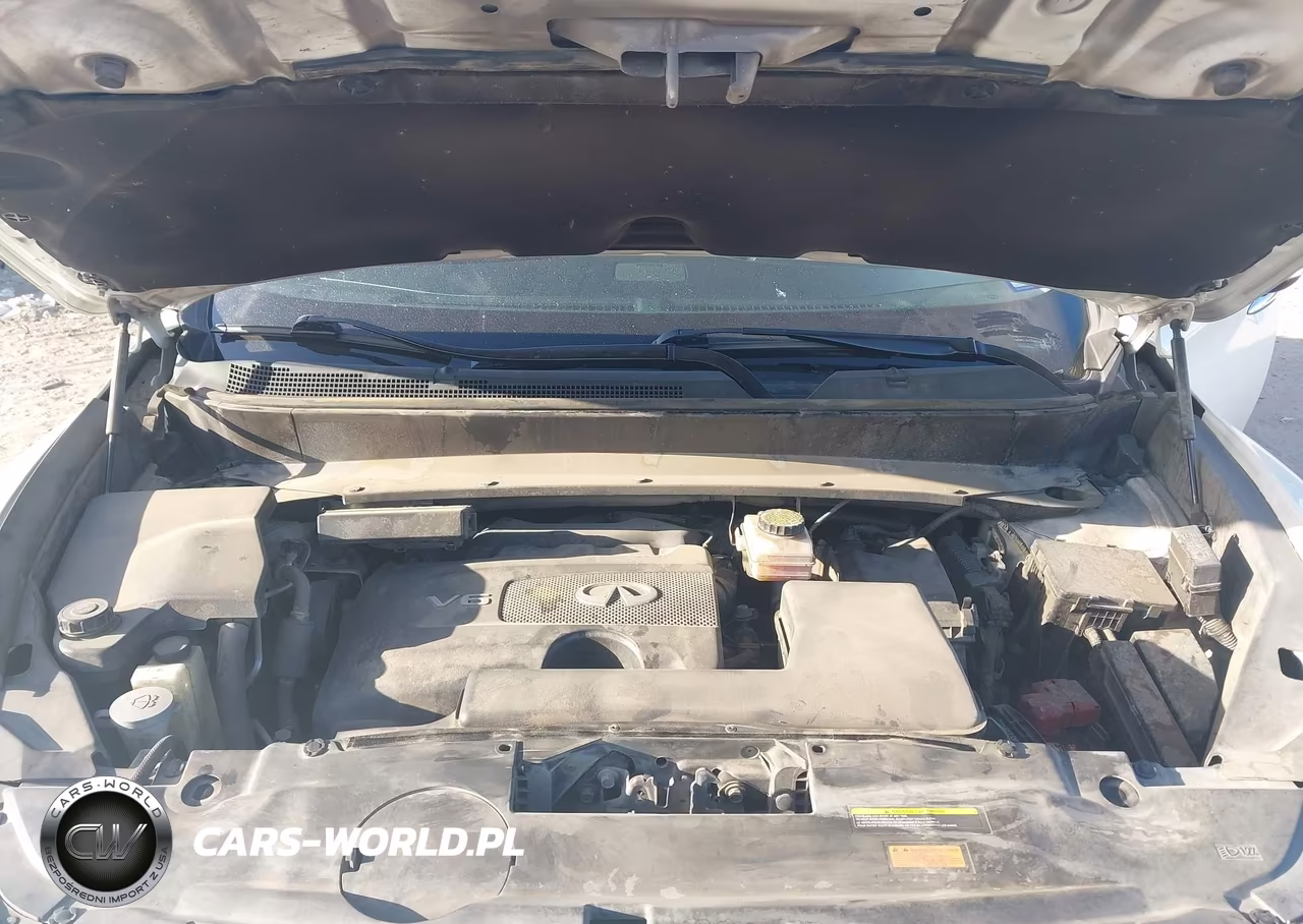 2019 Infiniti Qx60 Luxe VIN:5N1DL0MN8KC516862 - 10
