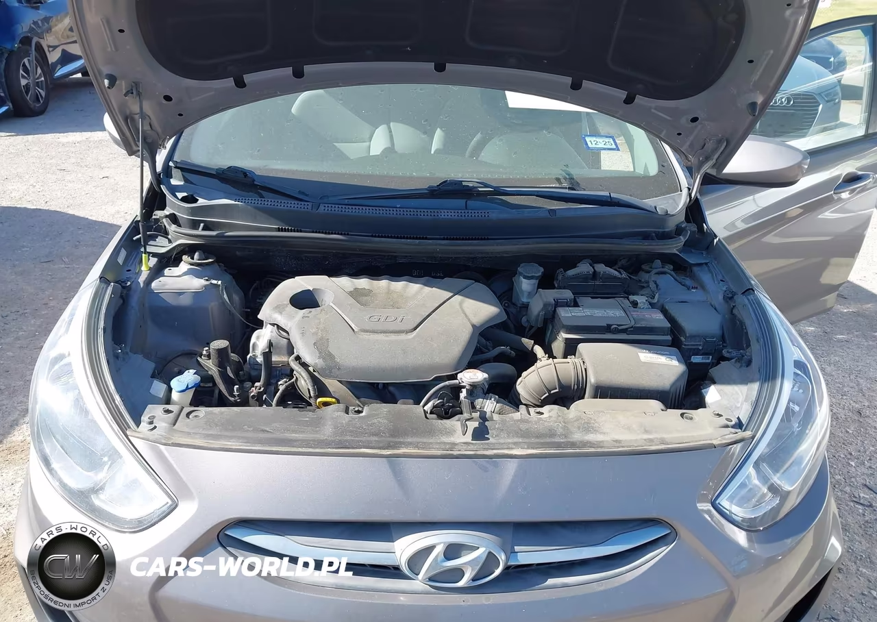 2017 Hyundai Accent Se VIN:KMHCT4AE2HU386832 - 10