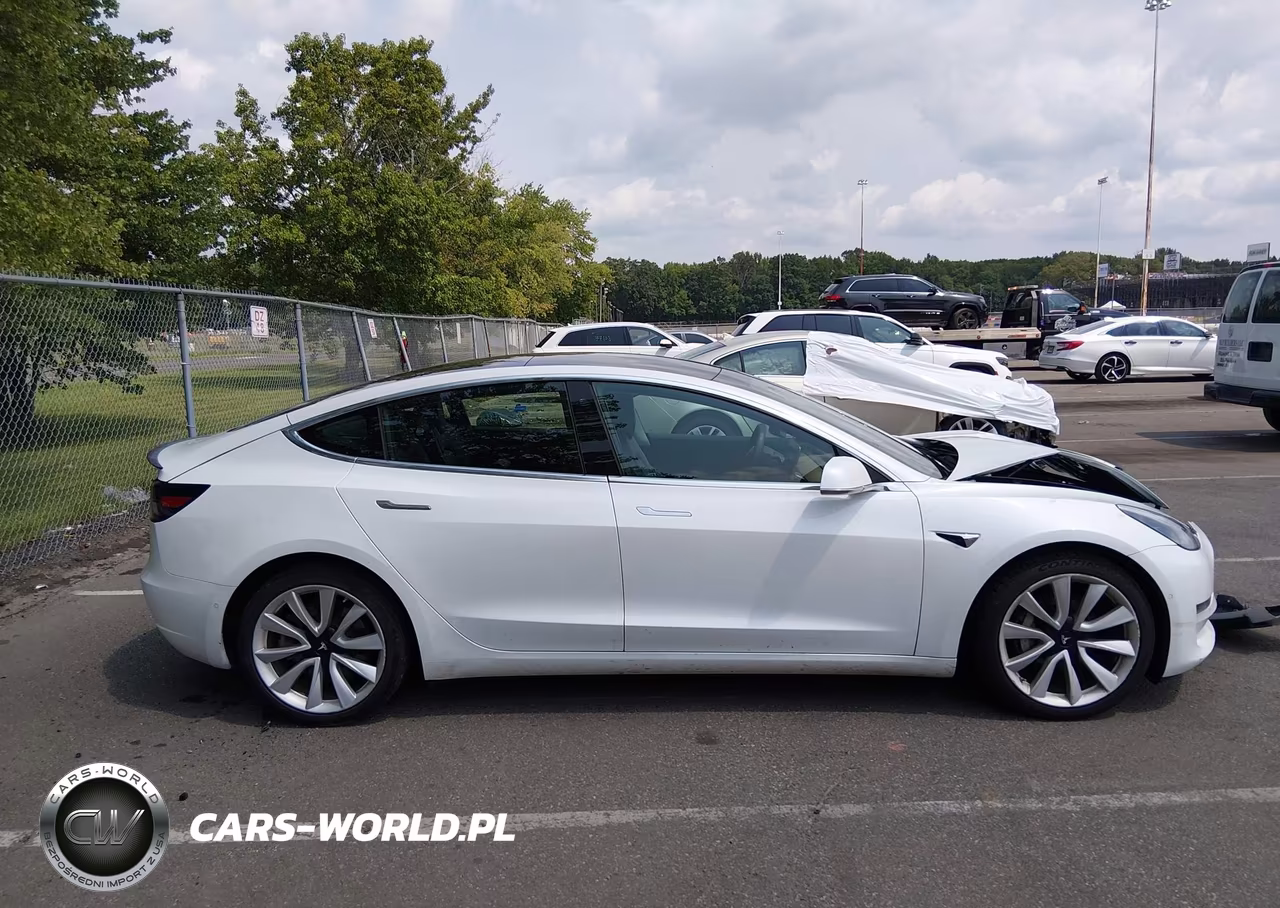2020 Tesla Model 3 Performance Dual Motor All-Wheel Drive VIN:5YJ3E1EC2LF587086 - 12