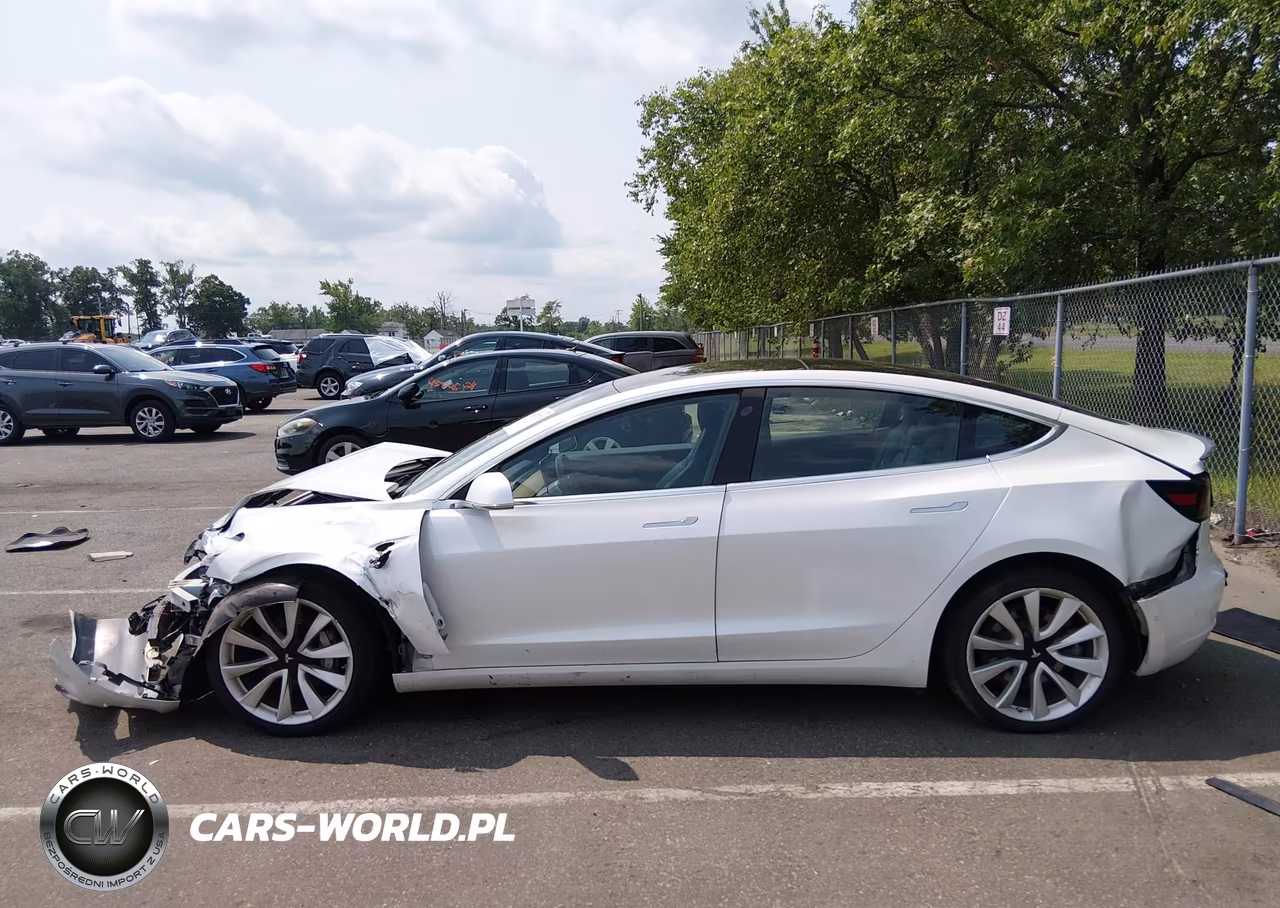 2020 Tesla Model 3 Performance Dual Motor All-Wheel Drive VIN:5YJ3E1EC2LF587086 - 13