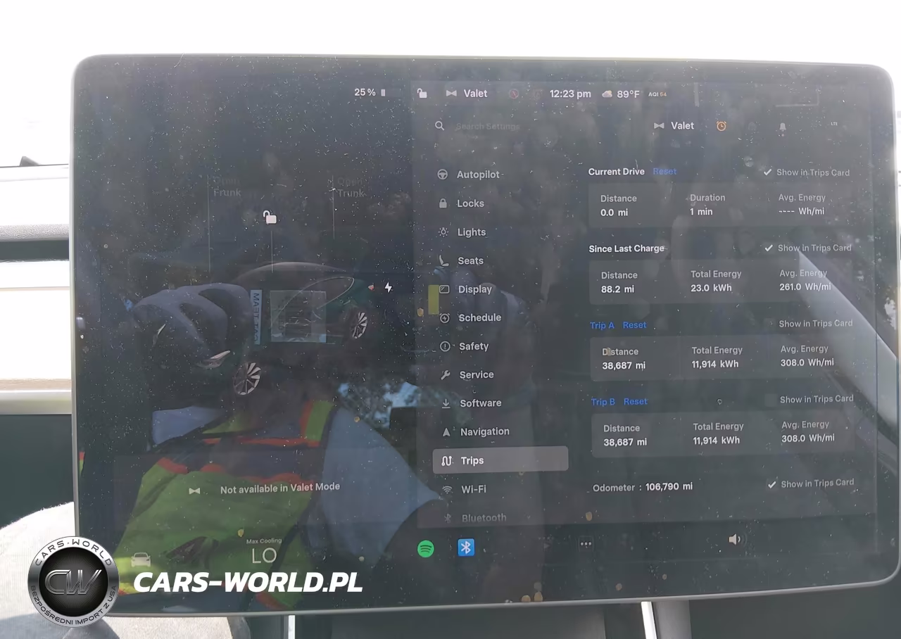 2020 Tesla Model 3 Performance Dual Motor All-Wheel Drive VIN:5YJ3E1EC2LF587086 - 7