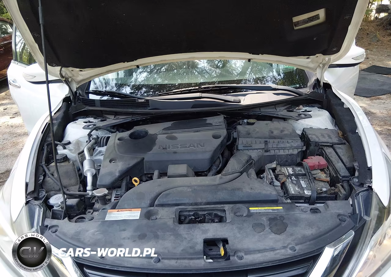 2018 Nissan Altima 2.5 Sl VIN:1N4AL3AP4JC126716 - 10
