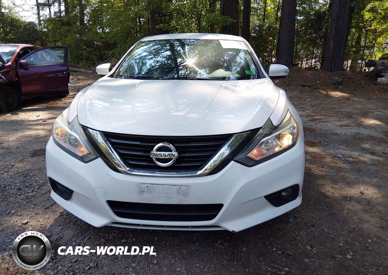 2018 Nissan Altima 2.5 Sl VIN:1N4AL3AP4JC126716 - 12