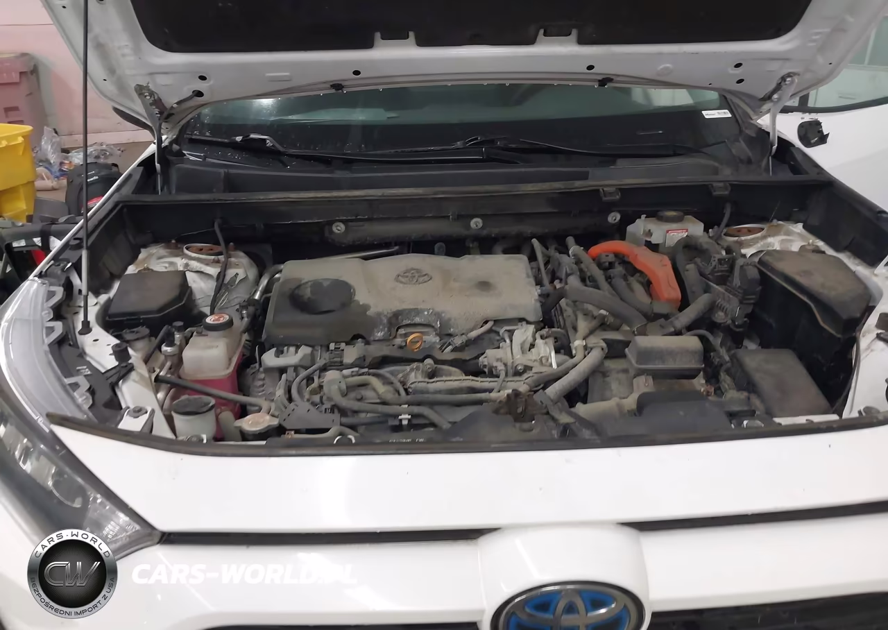 2019 Toyota Rav4 Hybrid Le VIN:2T3MWRFV8KW003184 - 10