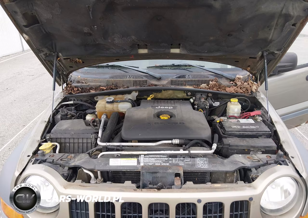 2005 Jeep Liberty Sport VIN:1J4GL48565W655758 - 10