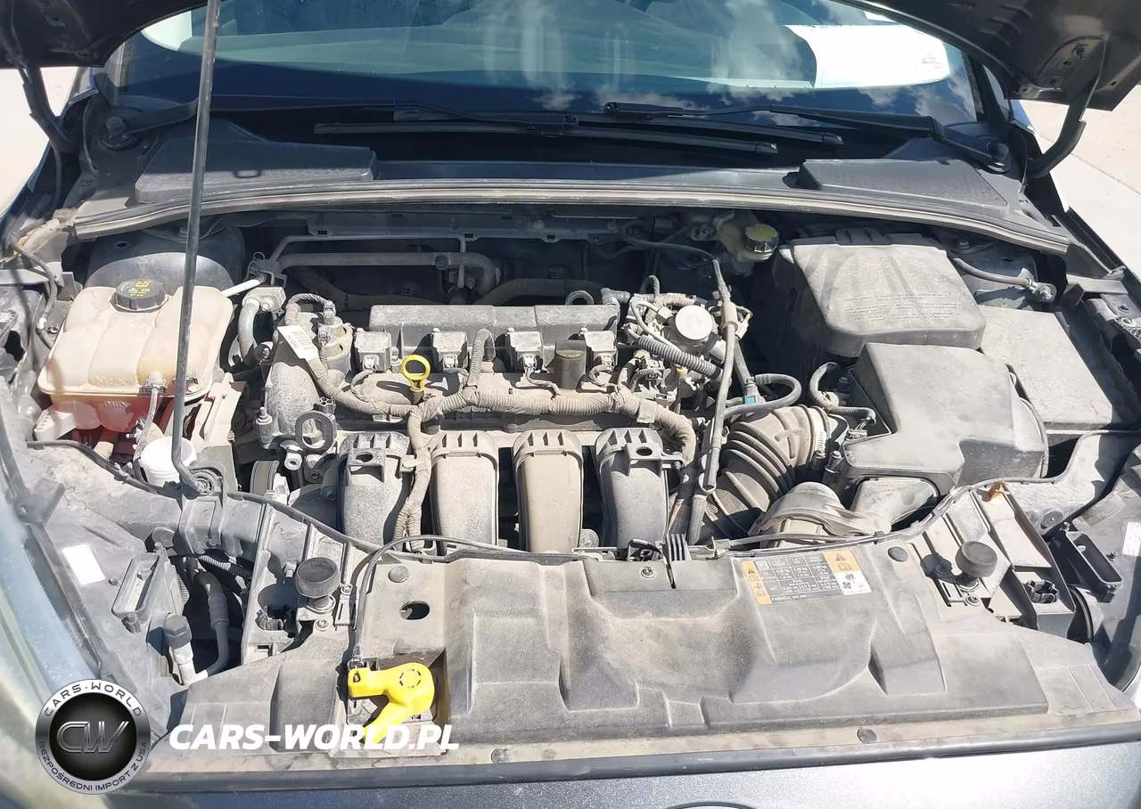 2016 Ford Focus Se VIN:1FADP3F28GL346285 - 10