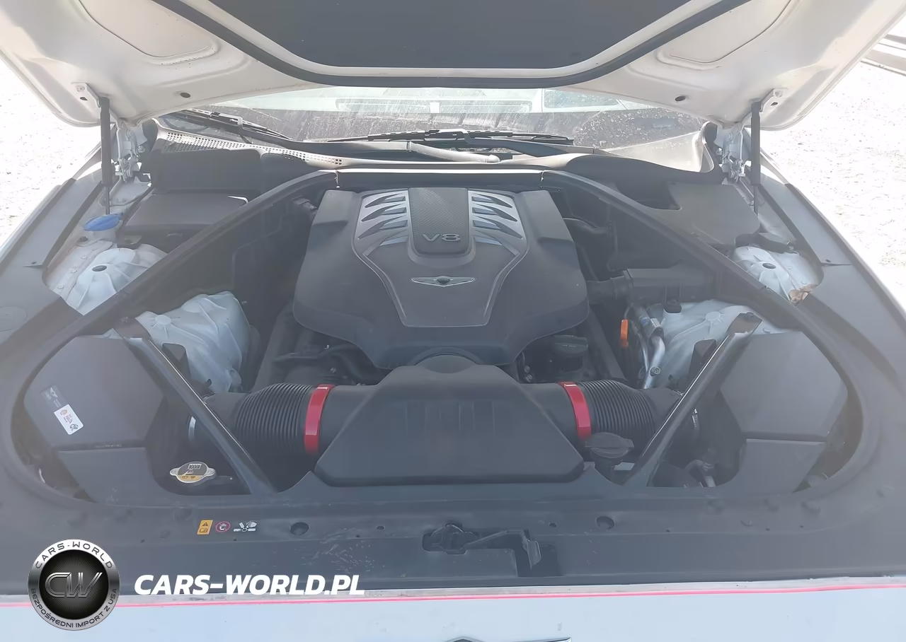 2019 Genesis G80 5.0 Ultimate VIN:KMHGN4JF3KU286895 - 10