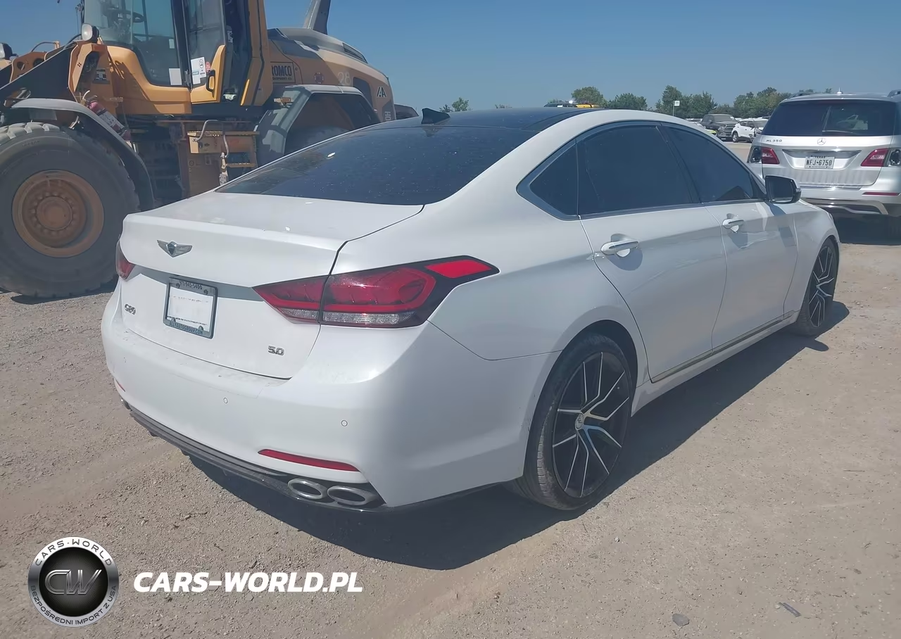 2019 Genesis G80 5.0 Ultimate VIN:KMHGN4JF3KU286895 - 4