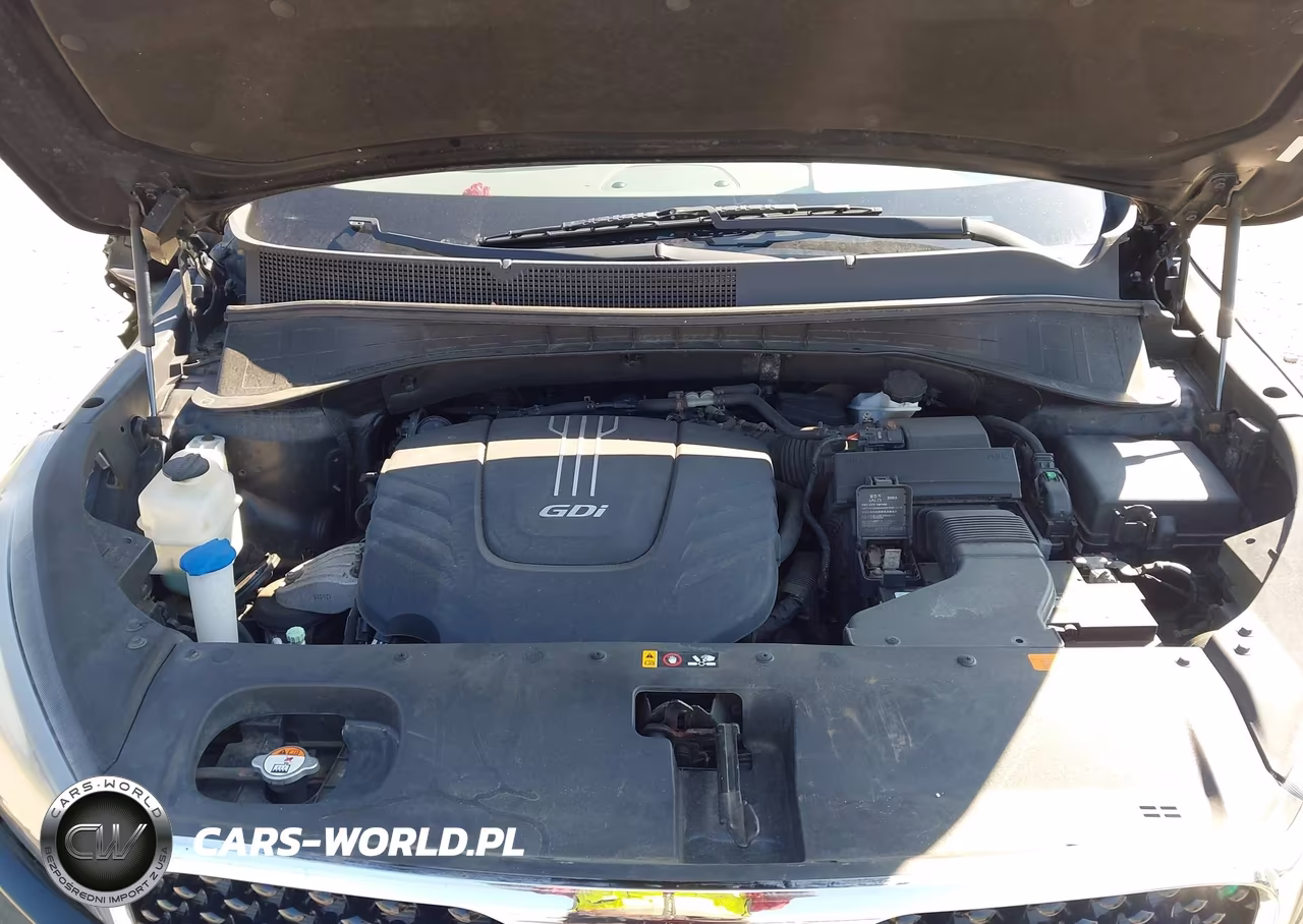 2016 Kia Sorento 3.3L Ex VIN:5XYPHDA57GG114316 - 10
