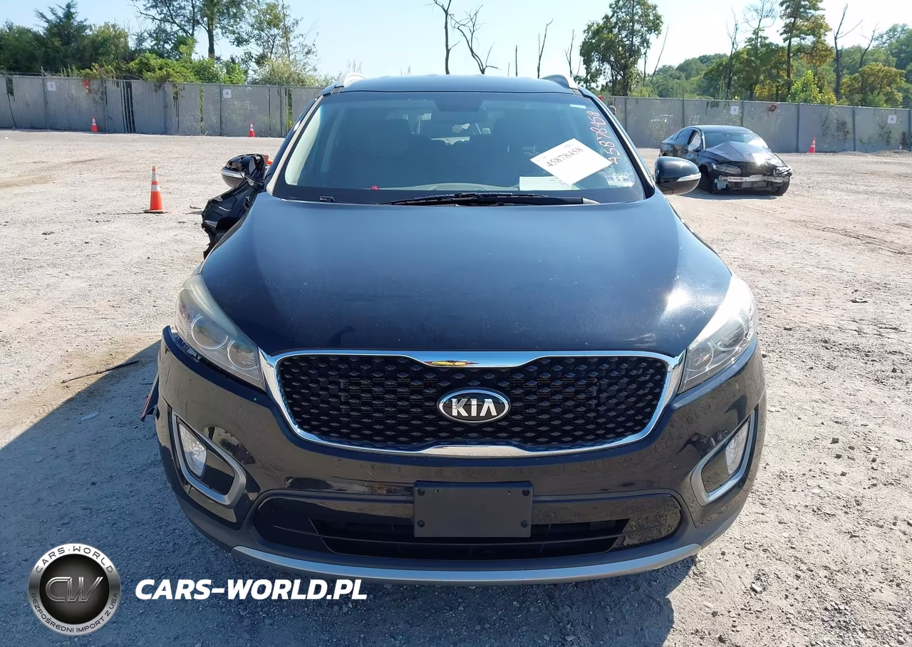 2016 Kia Sorento 3.3L Ex VIN:5XYPHDA57GG114316 - 12