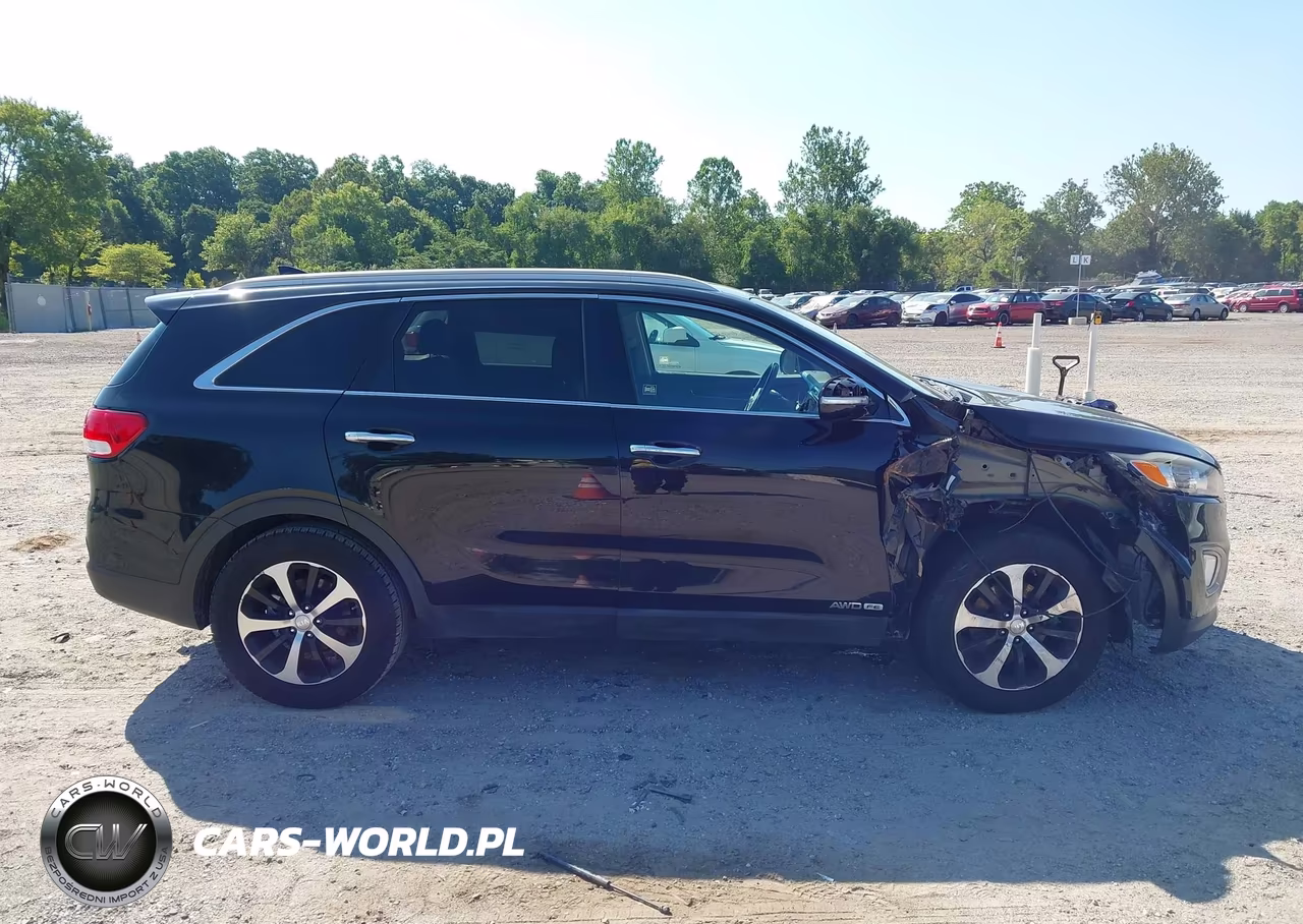 2016 Kia Sorento 3.3L Ex VIN:5XYPHDA57GG114316 - 13