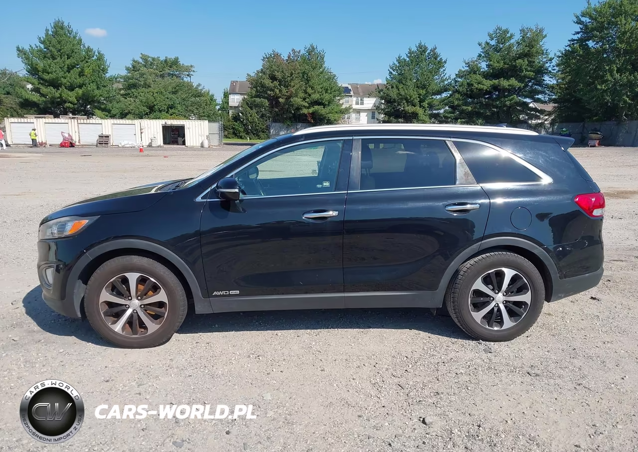 2016 Kia Sorento 3.3L Ex VIN:5XYPHDA57GG114316 - 14