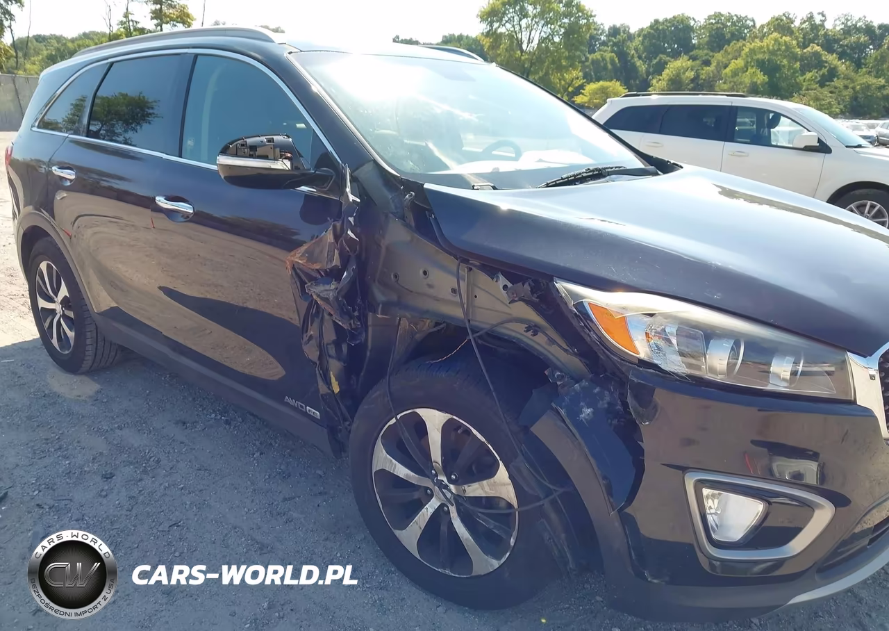 2016 Kia Sorento 3.3L Ex VIN:5XYPHDA57GG114316 - 17