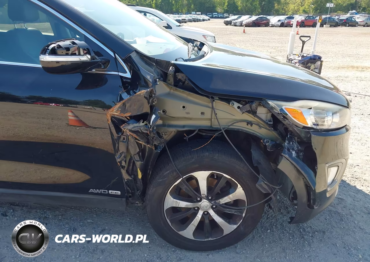 2016 Kia Sorento 3.3L Ex VIN:5XYPHDA57GG114316 - 6