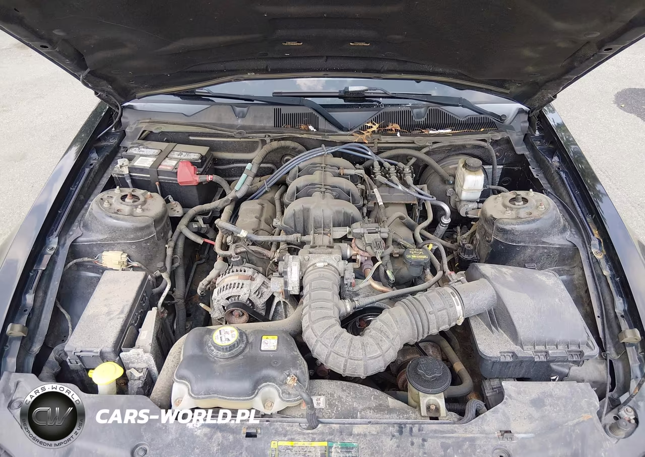 2010 Ford Mustang V6-V6 Premium VIN:1ZVBP8EN0A5128604 - 10