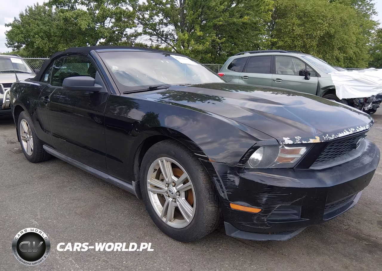 2010 Ford Mustang V6-V6 Premium VIN:1ZVBP8EN0A5128604 - 12