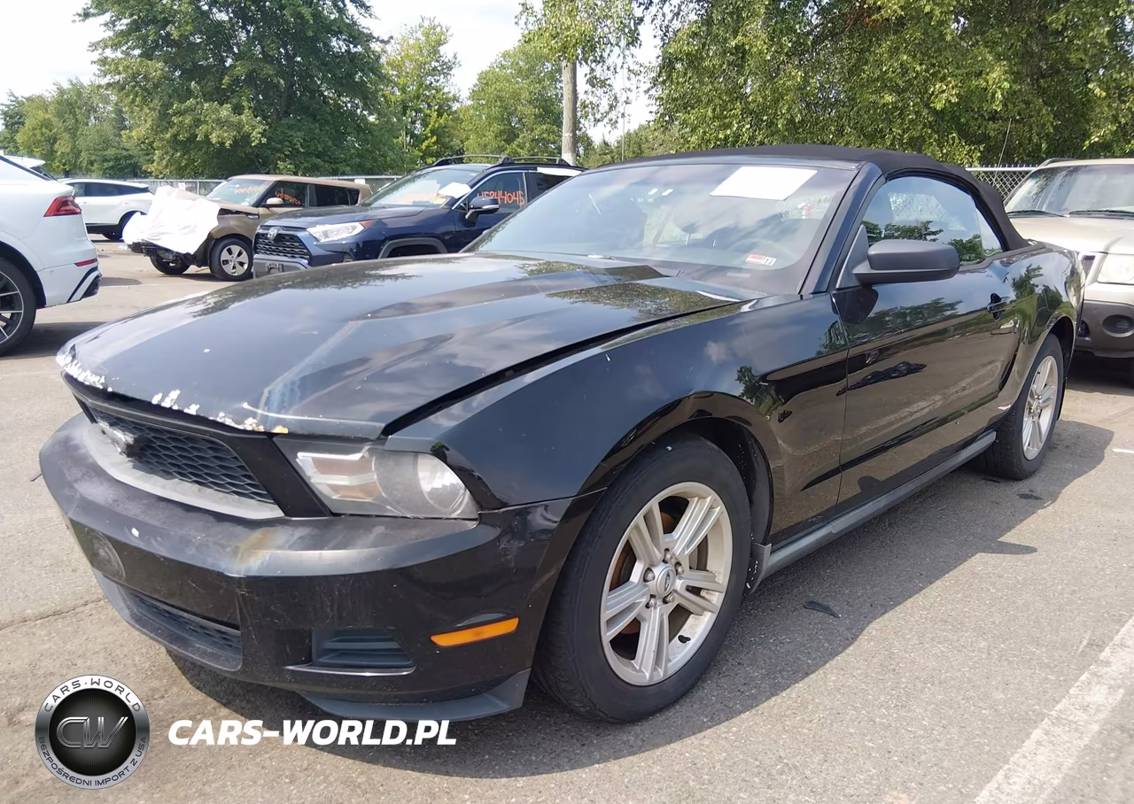 2010 Ford Mustang V6-V6 Premium VIN:1ZVBP8EN0A5128604 - 2